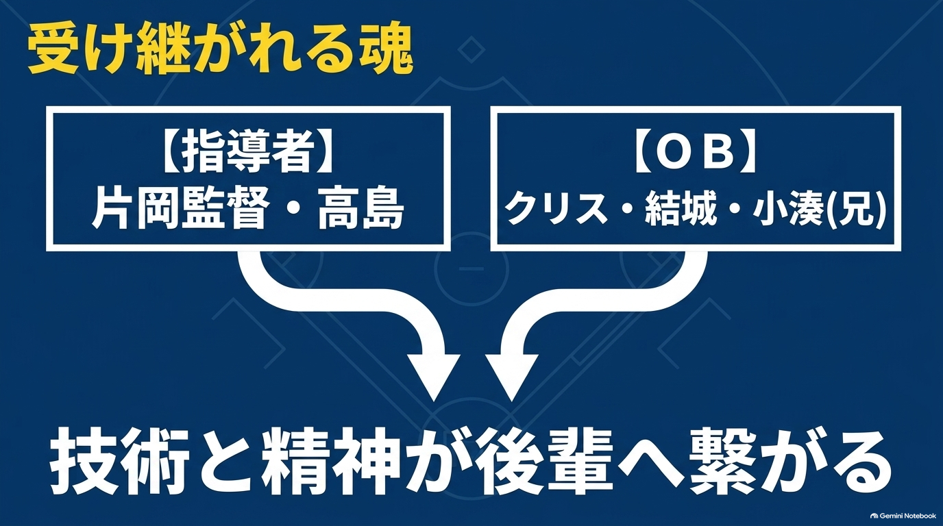 ダイヤのAの片岡監督・高島礼・クリス・結城哲也・小湊亮介から後輩へ受け継がれる技術と精神