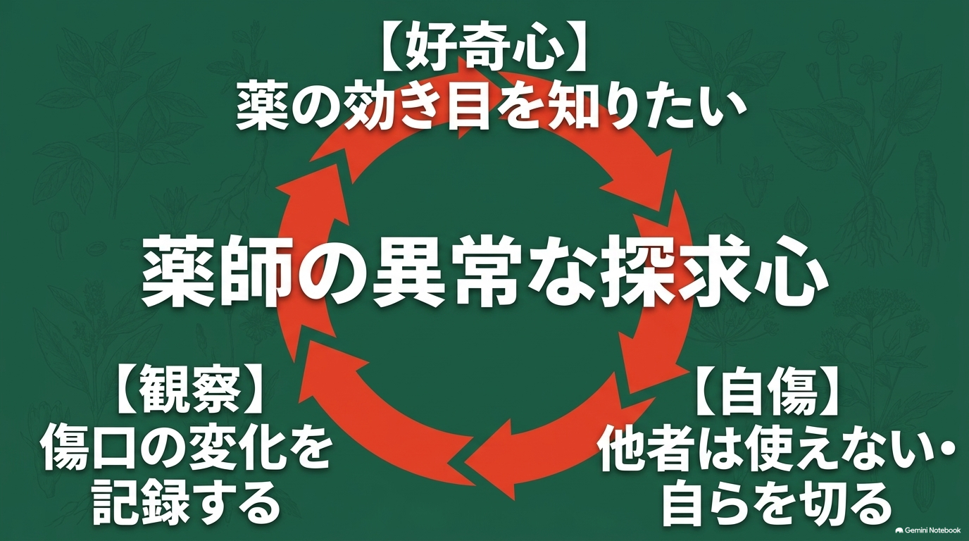 薬の効き目への好奇心から自分を傷つけ、傷口の変化を観察する猫猫の自己実験の流れ